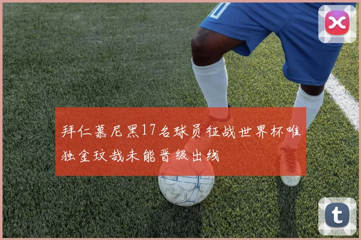 拜仁慕尼黑17名球员征战世界杯唯独金玟哉未能晋级出线